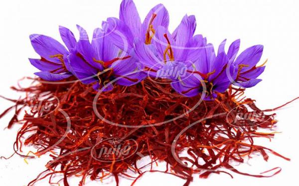 فروش زعفران بدون واسطه با کیفیت مناسب در کشور