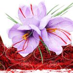 خرید و فروش زعفران 5 مثقالی پاکتی
