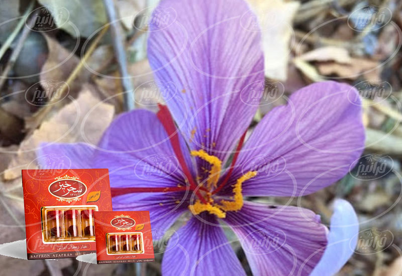 صادرات زعفران یک مثقالی سحرخیز به باکو