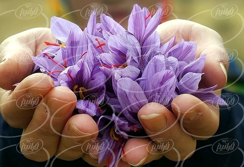 قیمت انواع زعفران بسته بندی شده در ایران 