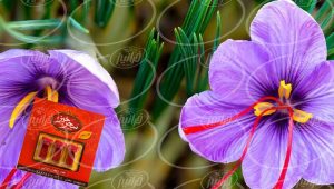 سایت زعفران سحرخیز با محصولات کادویی جدید
